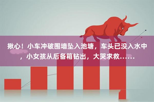 揪心！小车冲破围墙坠入池塘，车头已没入水中，小女孩从后备箱钻出，大哭求救……