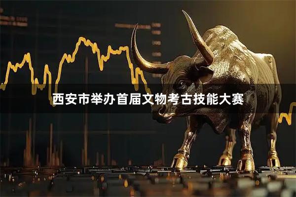 西安市举办首届文物考古技能大赛
